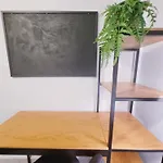 Espaço IN